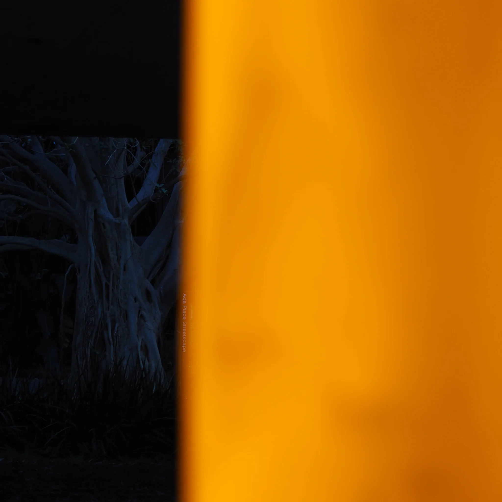 Abstract photograph of orange panel and blue tree