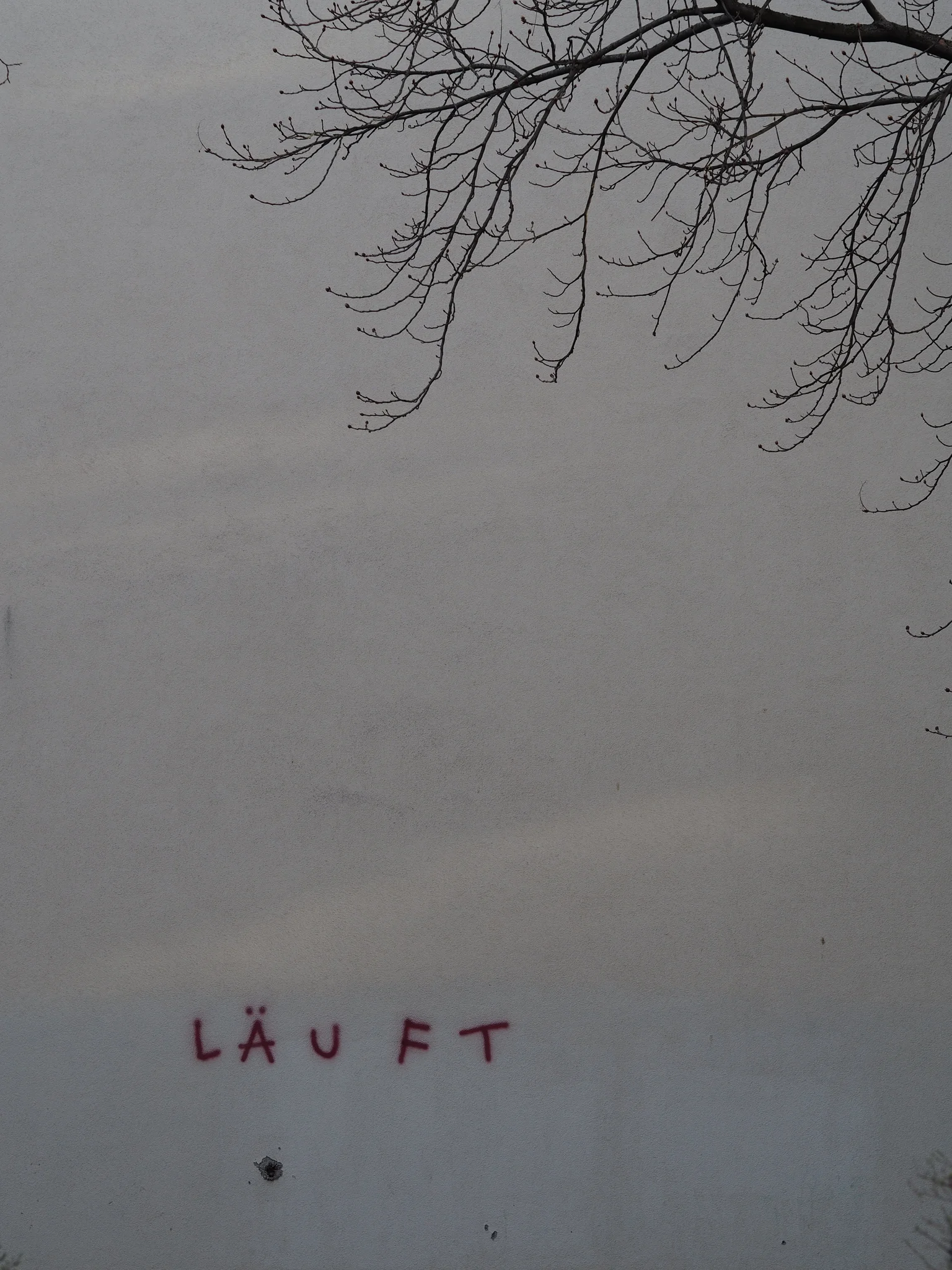 Graffiti of the German word LÄUFT on a blank wall with a tree.